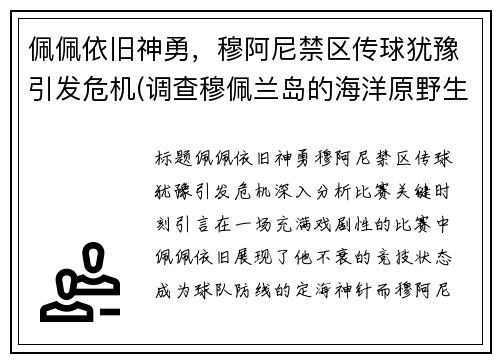 佩佩依旧神勇，穆阿尼禁区传球犹豫引发危机(调查穆佩兰岛的海洋原野生态)