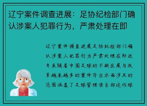 辽宁案件调查进展：足协纪检部门确认涉案人犯罪行为，严肃处理在即