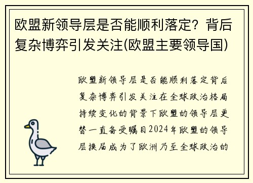 欧盟新领导层是否能顺利落定？背后复杂博弈引发关注(欧盟主要领导国)