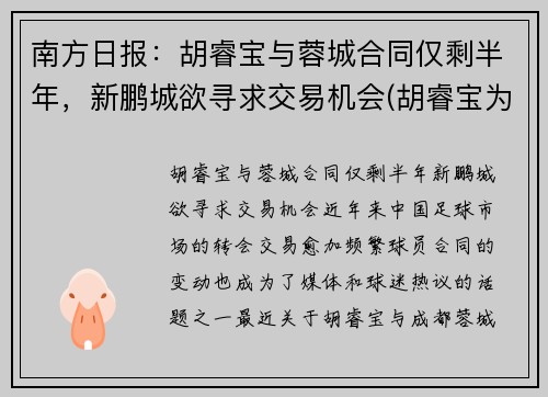 南方日报：胡睿宝与蓉城合同仅剩半年，新鹏城欲寻求交易机会(胡睿宝为什么叫曼城名宿)